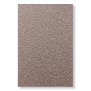 formica-f667-natu-leather-co-598-v1